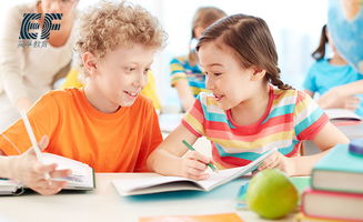 烟台教育咨询服务携手网亿网络，打造数字化教育新生态